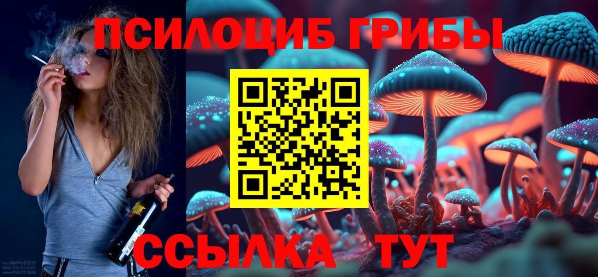 Псилоцибиновые грибы прущие грибы Егорьевск