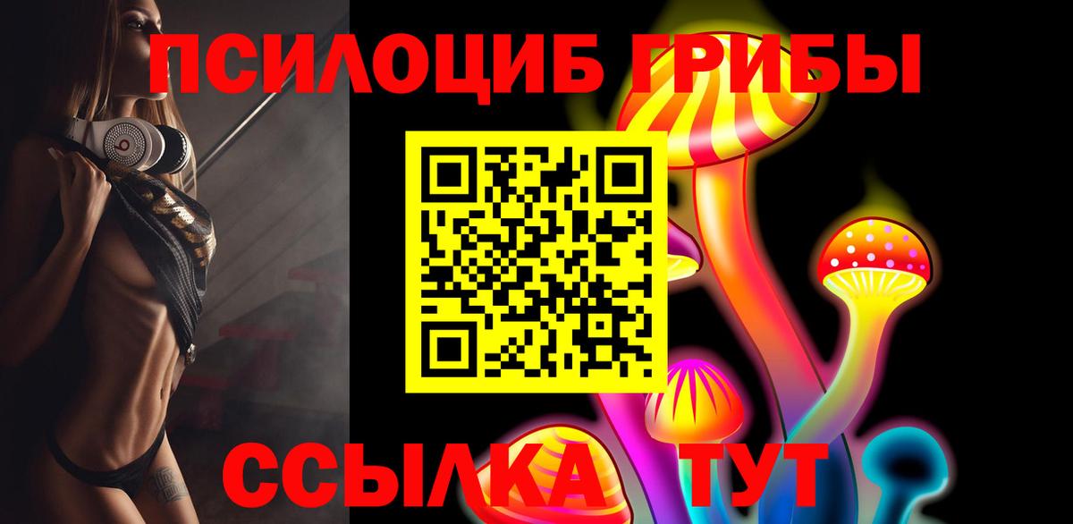 Егорьевск  Псилоцибиновые грибы мухоморы  Вход с VPN  Псилоцибиновые грибы мухоморы 
